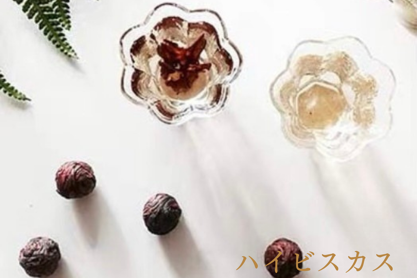 Tea Bloom ティーボール | ハイビスカス花茶