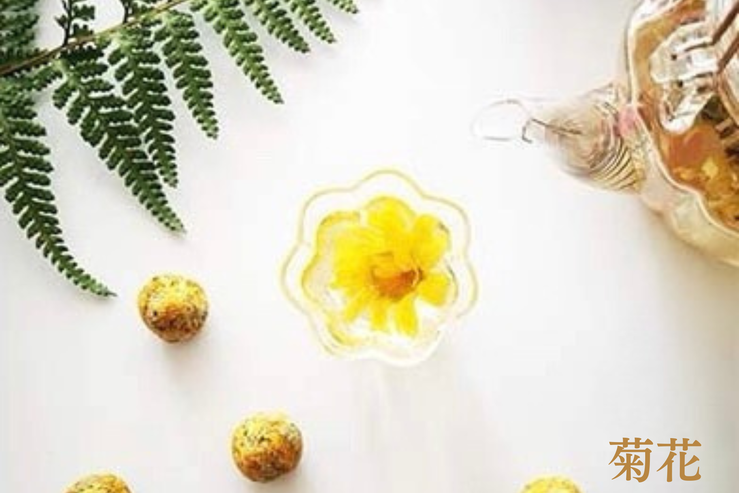 Tea Bloom ティーボール |菊花茶